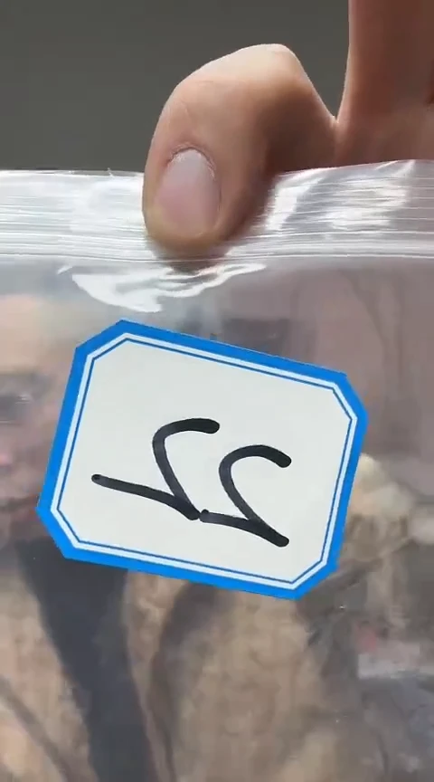 【闪购商品】工艺品根雕22