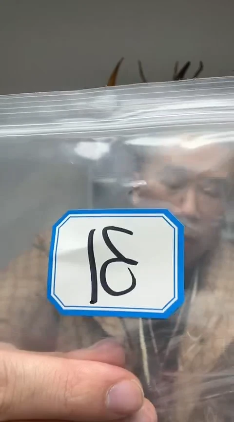 【闪购商品】工艺品根雕31