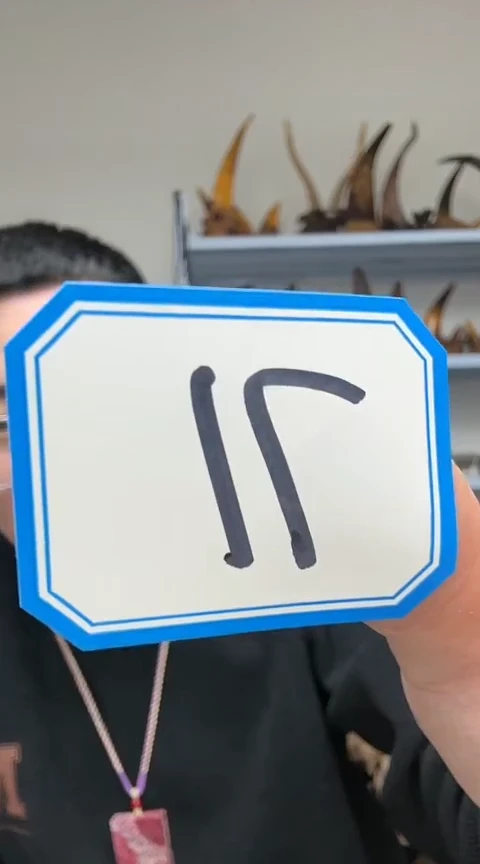 【闪购商品】工艺品根雕71