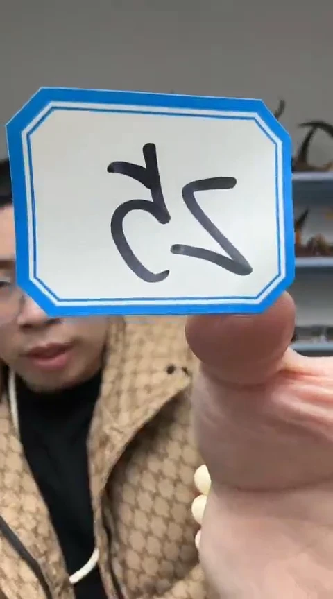 【闪购商品】工艺品根雕25