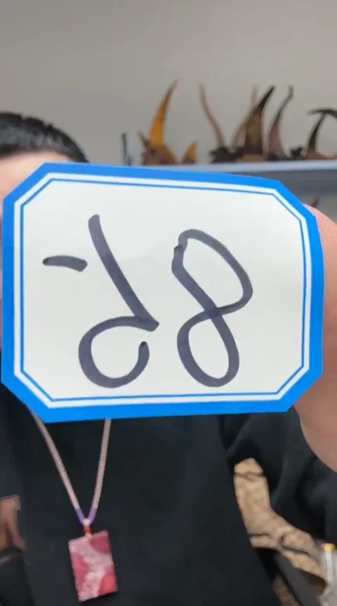 【闪购商品】工艺品根雕85