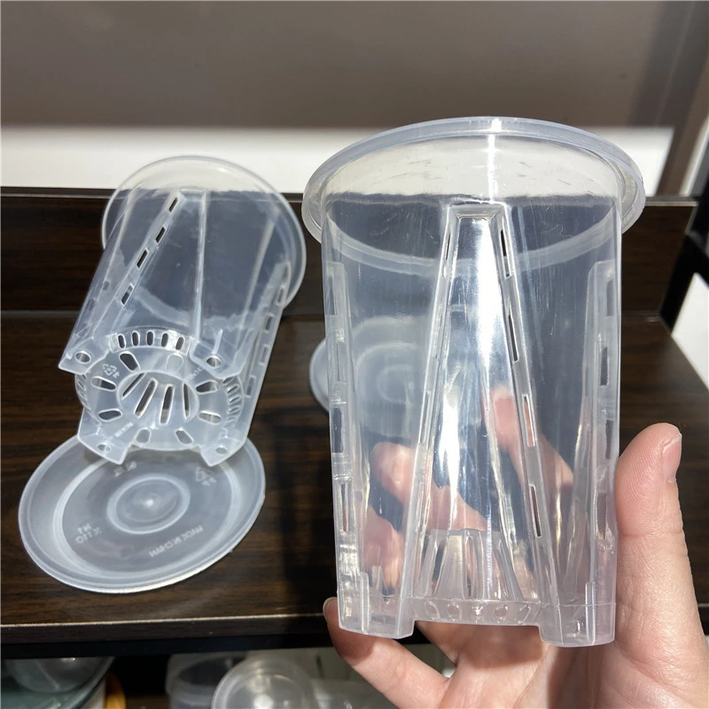 蝴蝶兰花盆空气柱透气控根盆新款兰科高透明塑料圆形桌面花盆