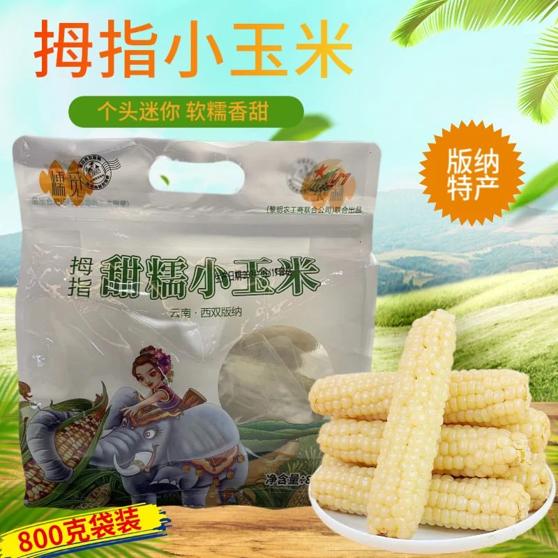云南西双版纳糯觅拇指小玉米甜糯玉米手指迷你小玉米800克