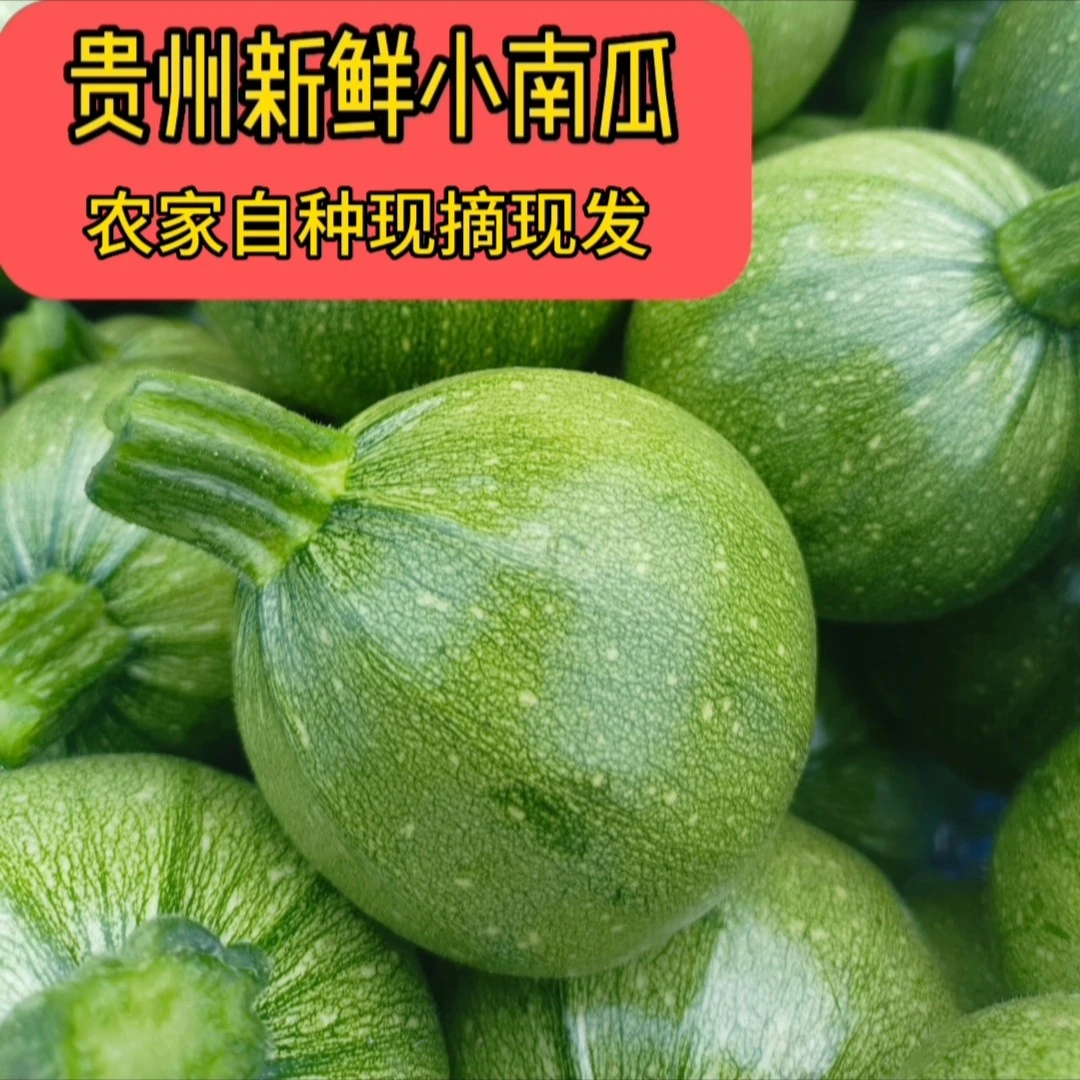 【农家自种】贵州农家自种露天小嫩瓜四季豆棒豆现摘现发5斤