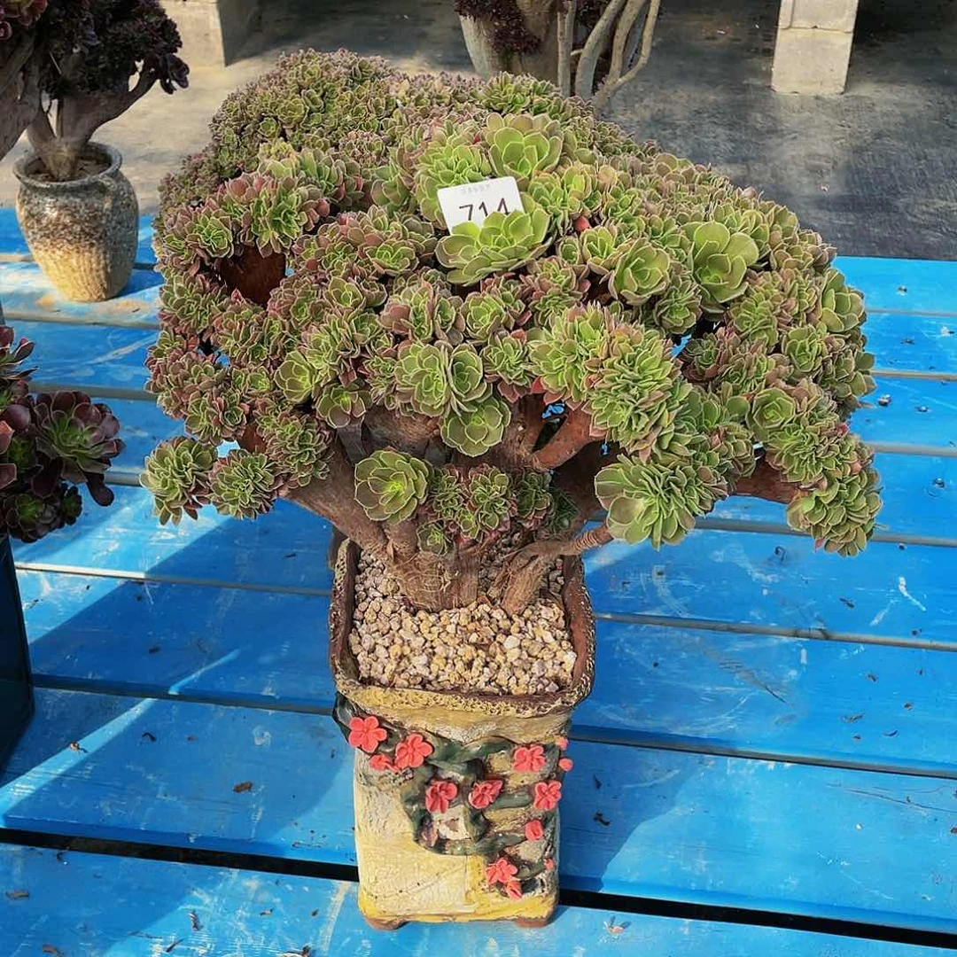 714号柠檬玫瑰缀花