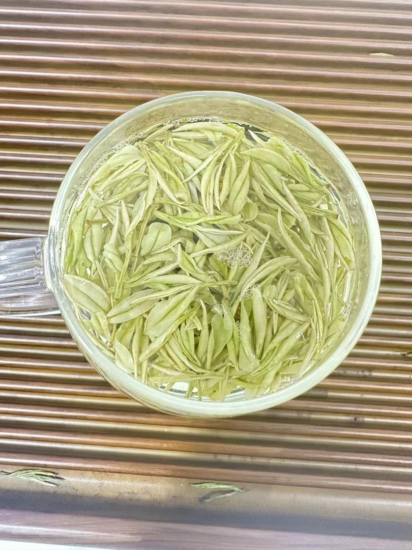 【2025大熊猫】新茶大熊猫奶香四溢新茶春季新茶茶农直销