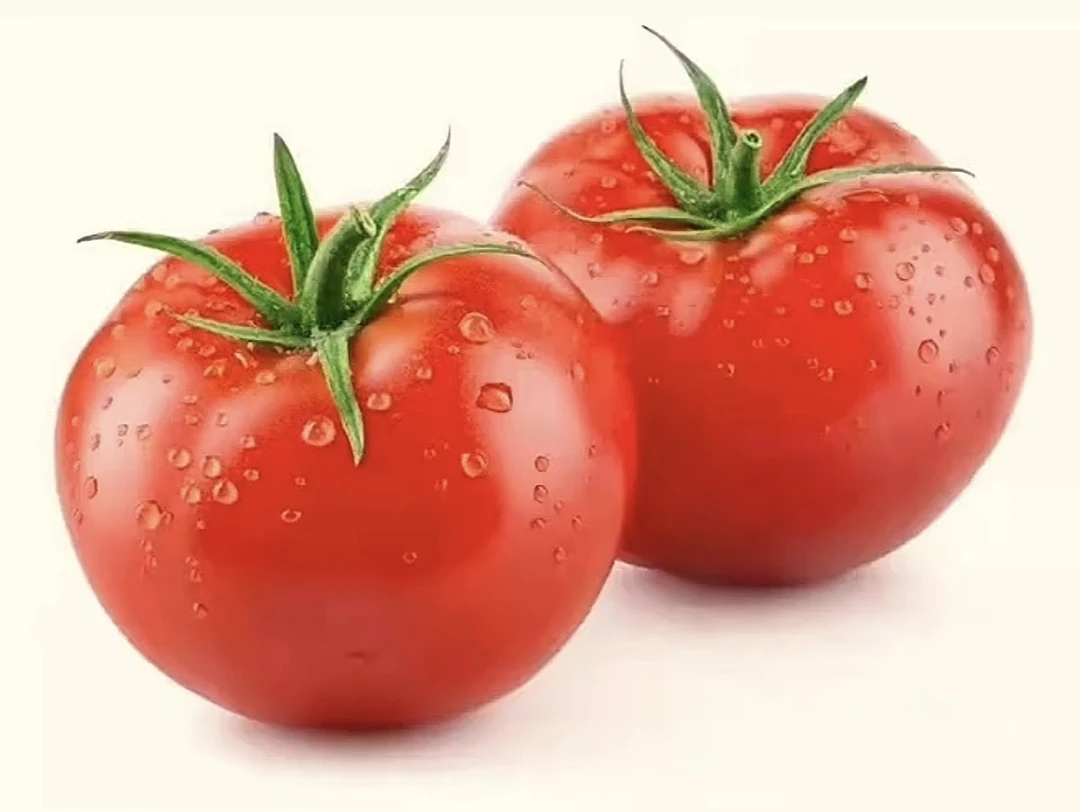西红柿约240－250克