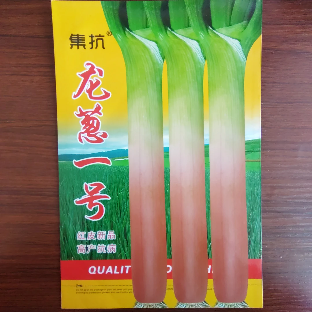 龙葱一号红皮葱种子