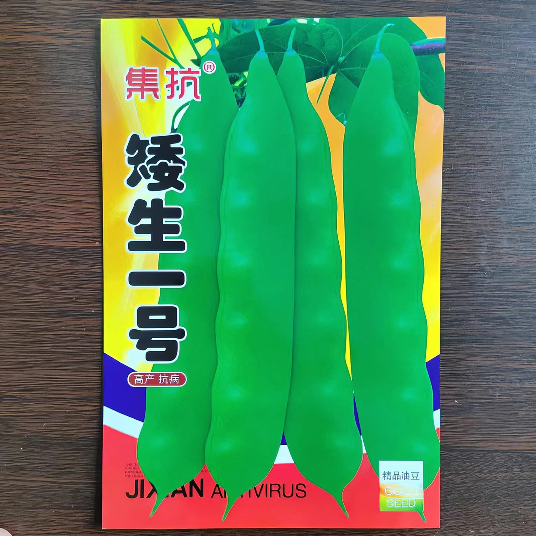 矮生一号豆角种子