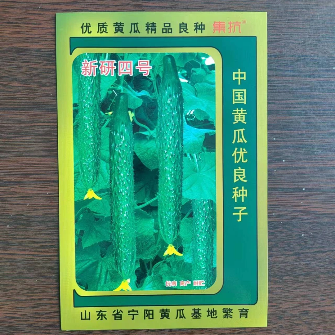 集抗新研四号，水黄瓜种子