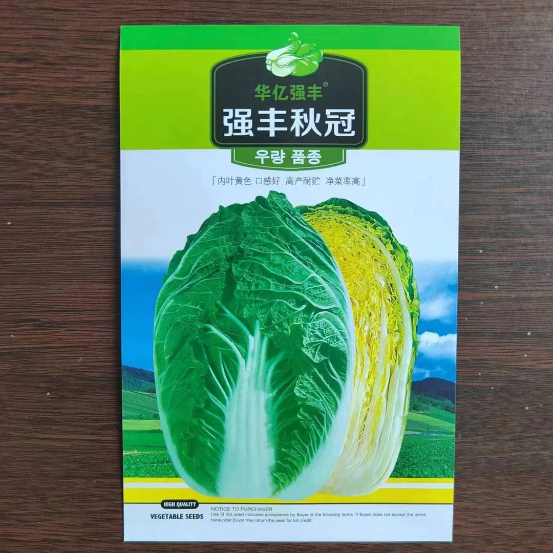 集抗强丰秋冠白菜籽