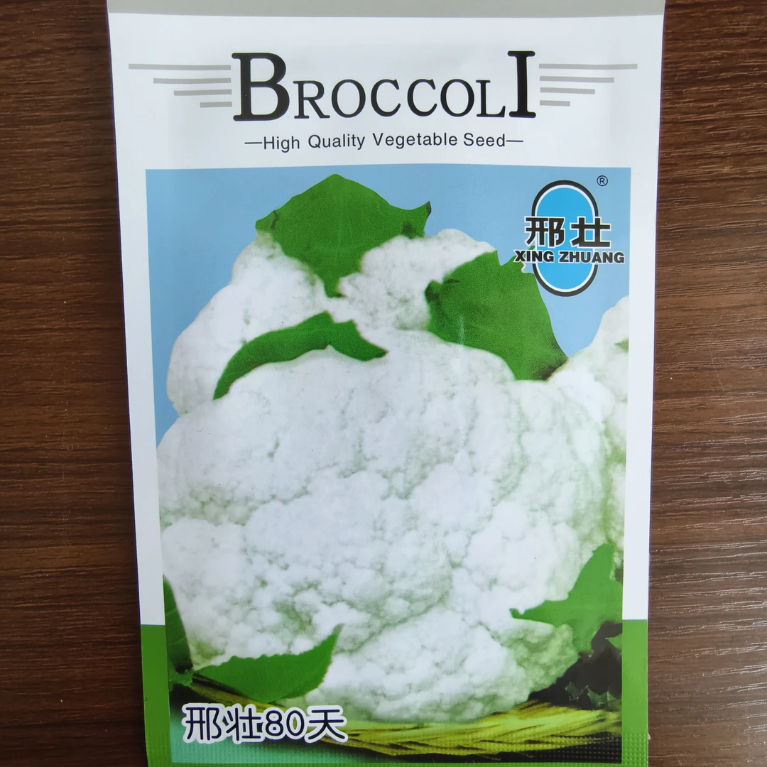 邢壮80，菜花种子（新老包装随机发货）
