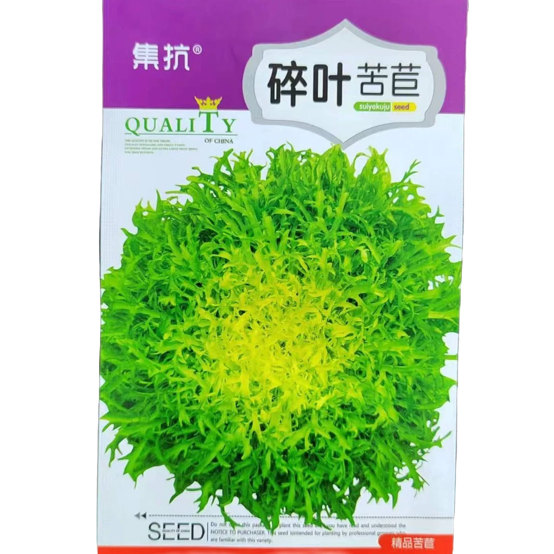 集抗碎叶苦苣种子（拍一发二）