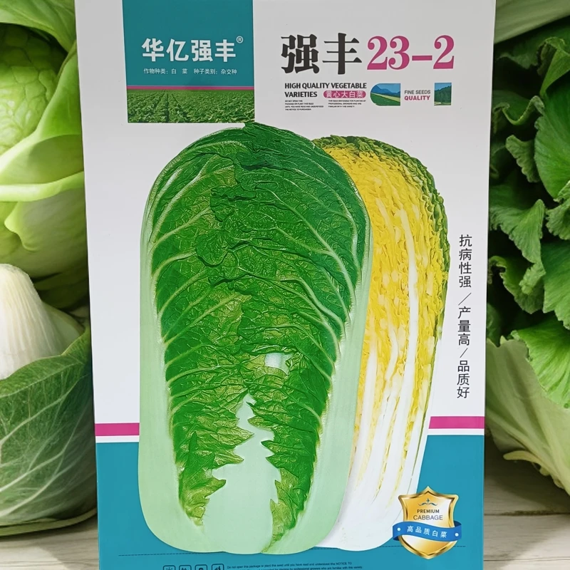 华亿强丰23-2黄心大白菜种子