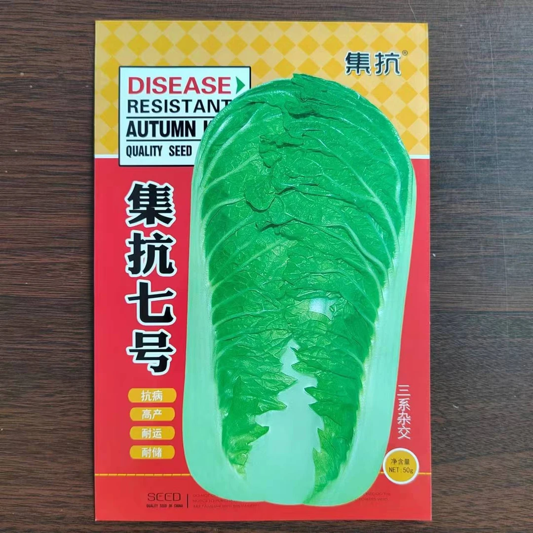 集抗七号白菜种子