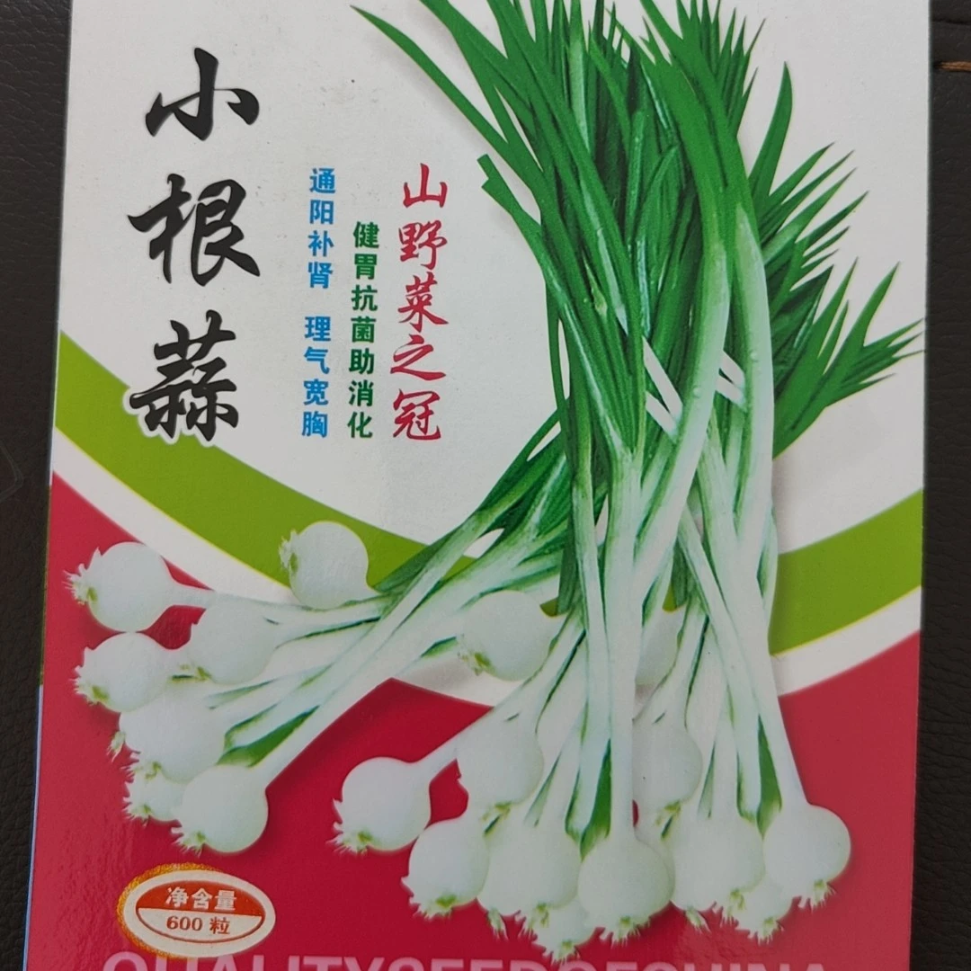 山野菜小根蒜餐桌美味