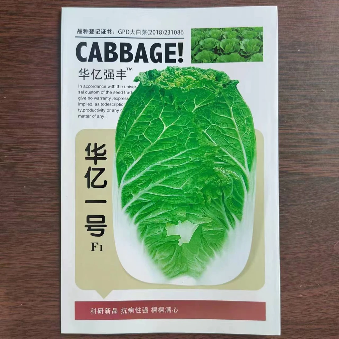 集抗华亿一号白菜种子