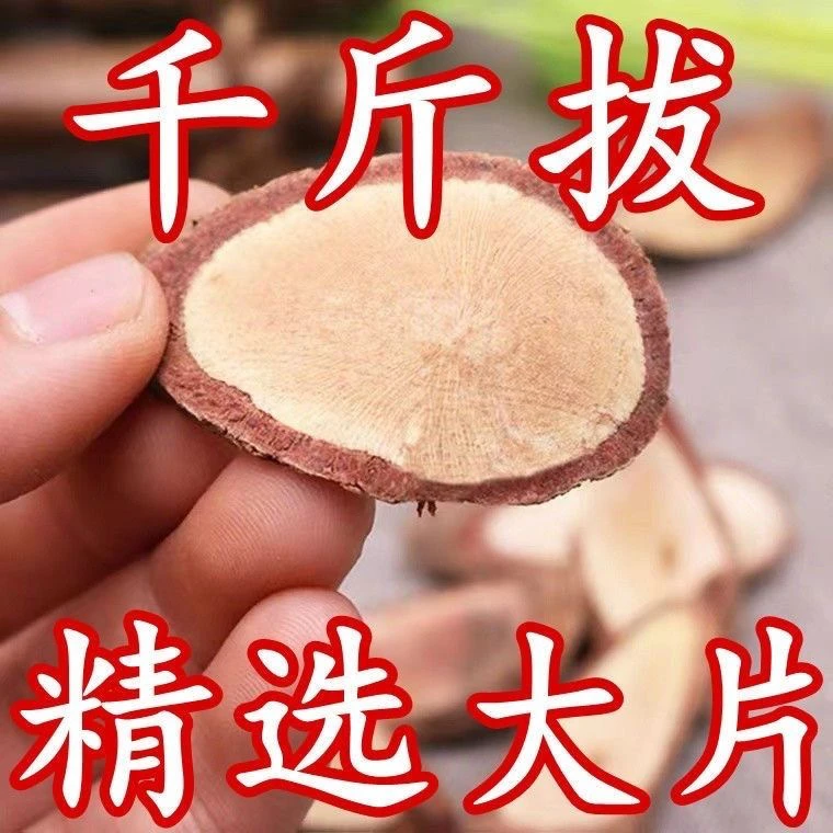 正宗千斤跋钻地风山货泡酒泡水