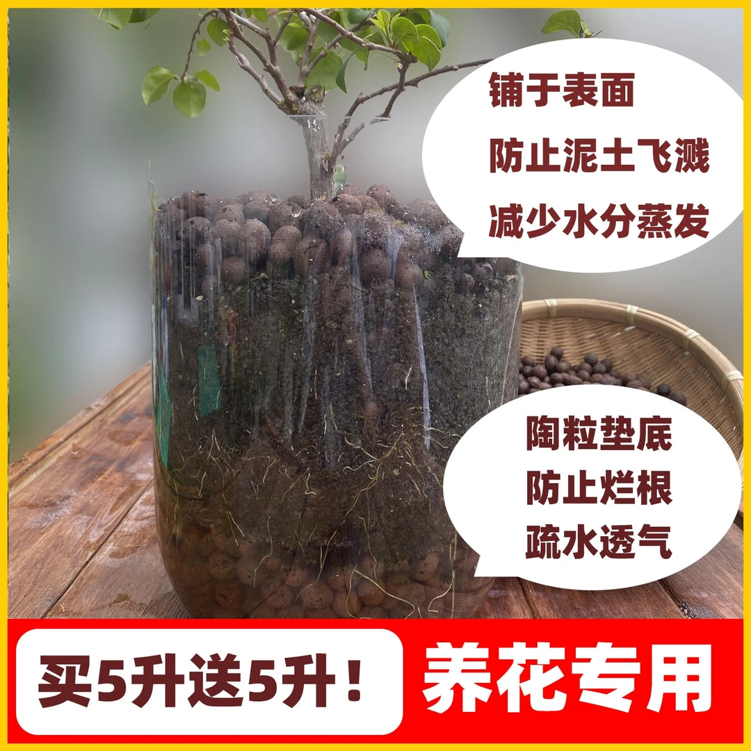 【粉丝福利】优质大号种植多肉垫底铺面美观无土水培高品质环保园艺