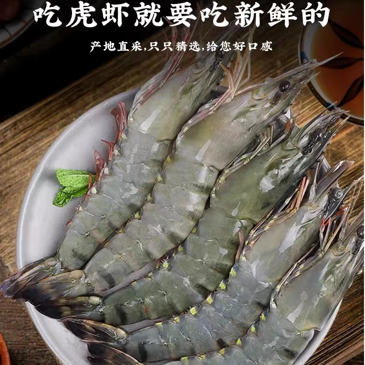 【特A级】拍3040发3135黑虎虾 活虾速冻 金刚斑节虾 花虾 鬼虾