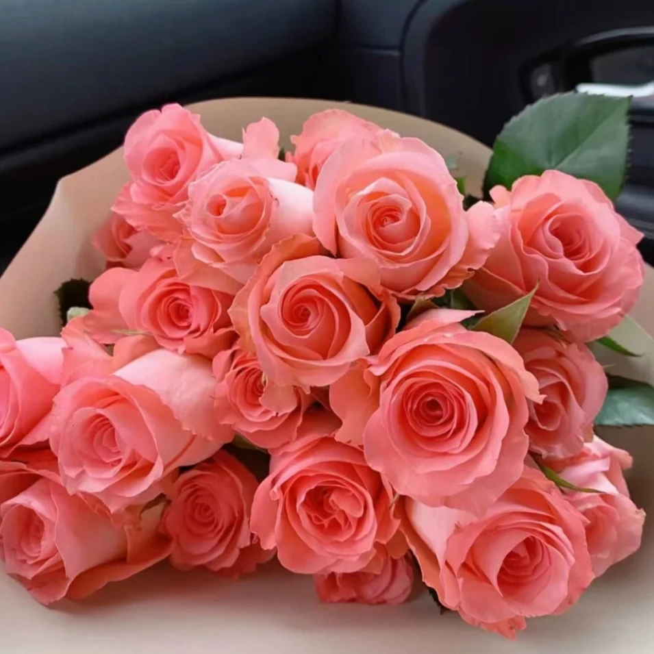 【戴安娜20枝+折射】家庭养护鲜花耗损10%不售后已发货不支持退货