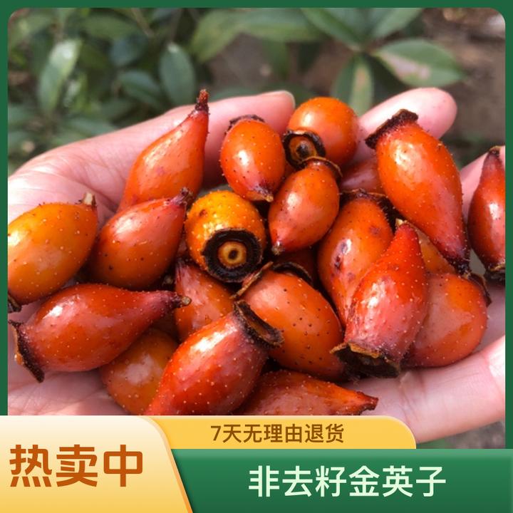 新鲜现摘金樱子鲜红果刺梨子干红果糖罐子散装非去籽金英子
