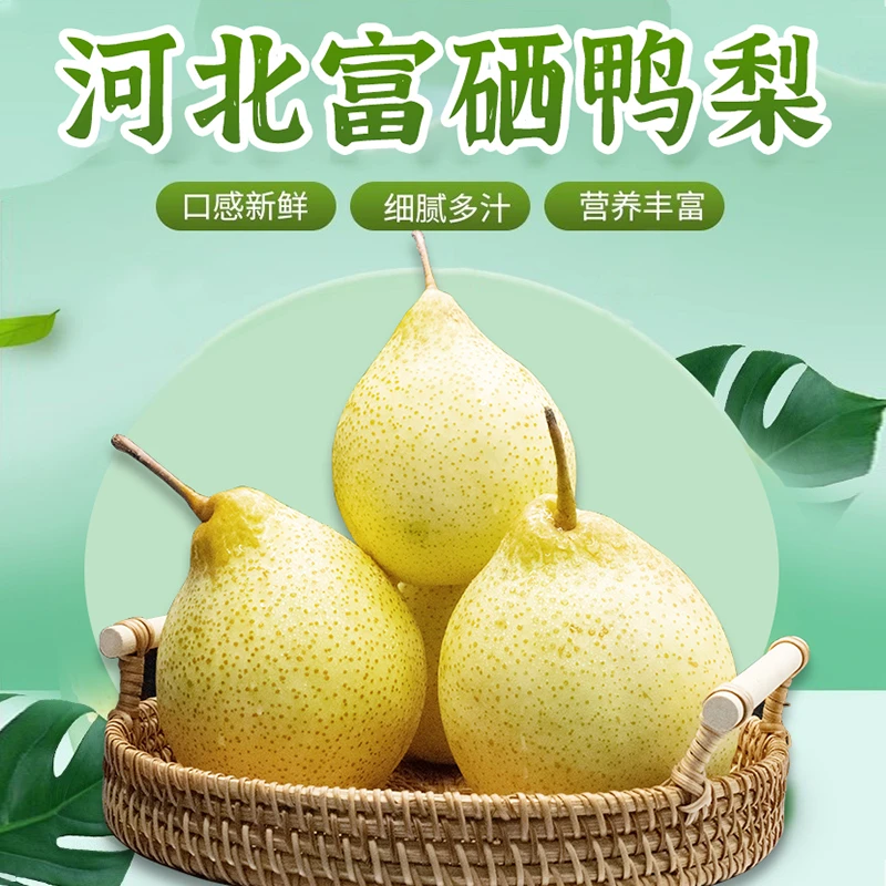 河北正宗富硒鸭梨皮薄肉厚口感多汁爽脆无渣品质4.5斤水果富硒梨