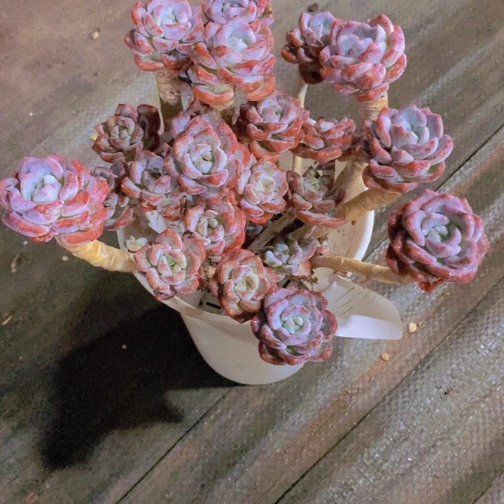 你就这样让自己后悔当初