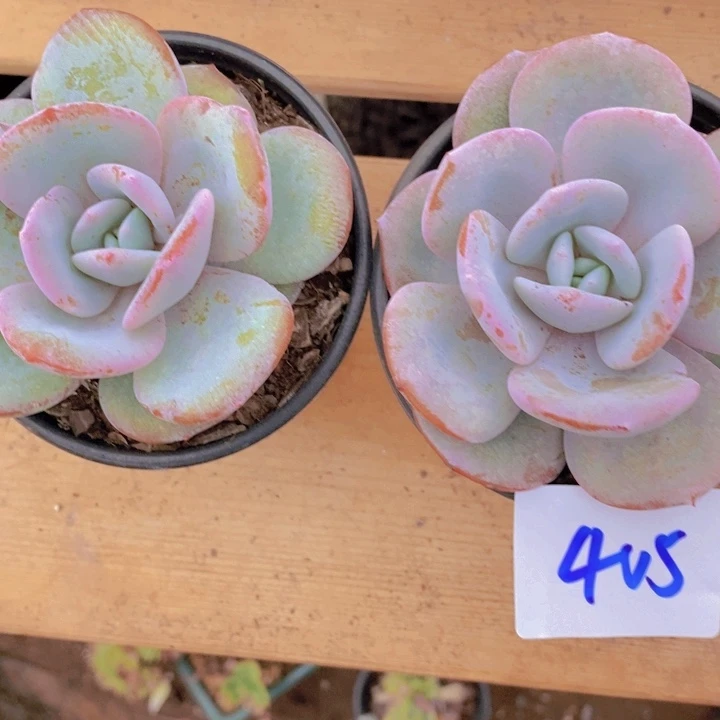 这个点就不睡觉还