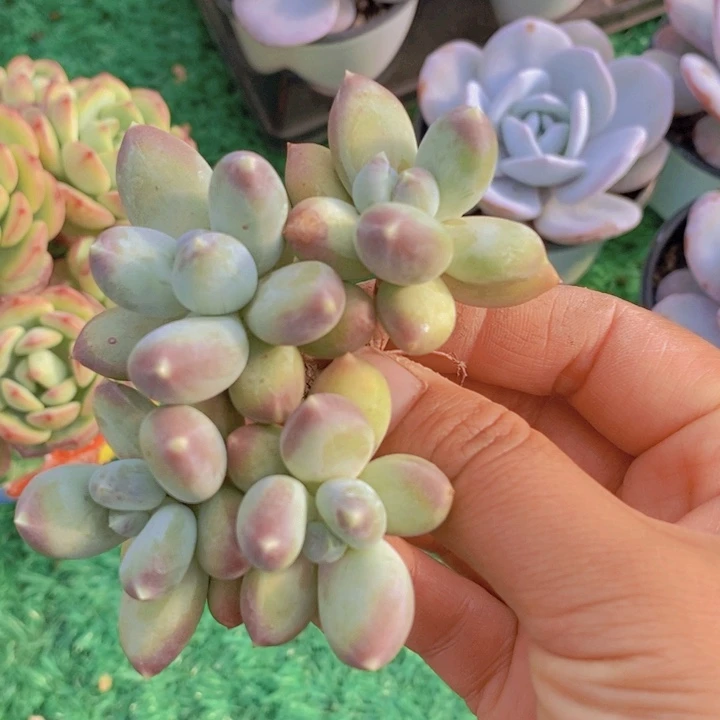 你就这样让自己后悔当初