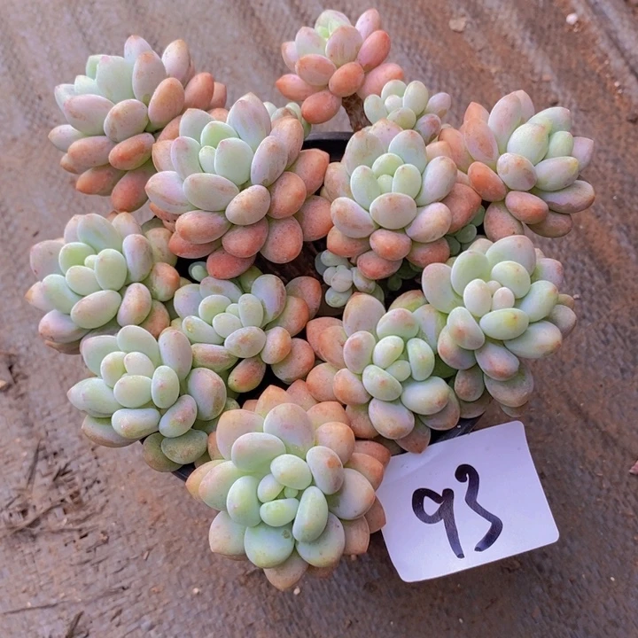 这种事情不可能不