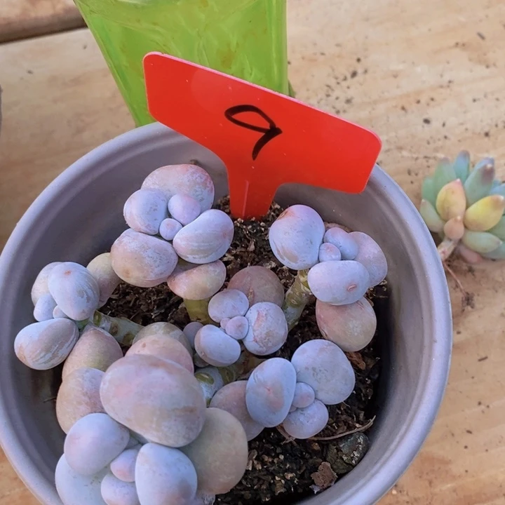 这个点就不应该喝