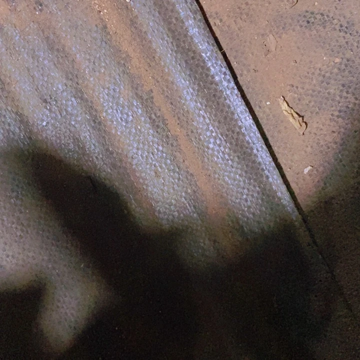 在家里面吃饭的吗怎么