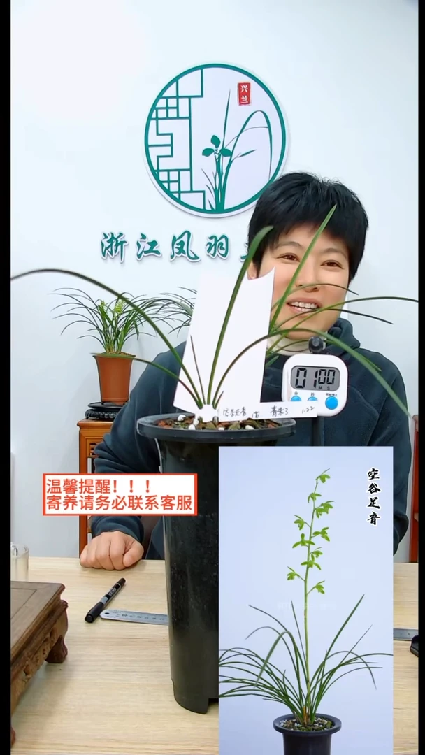 【闪购商品】空谷足音，，诚 * 信