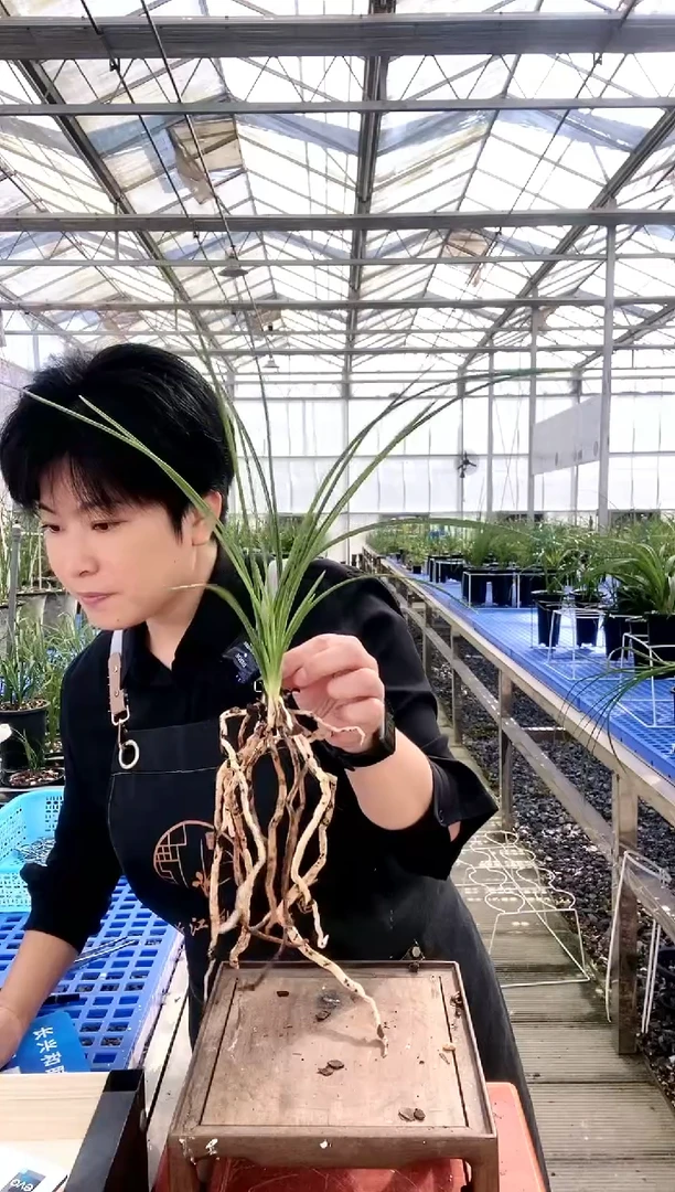 【闪购商品】荡字慢**…慢悠悠