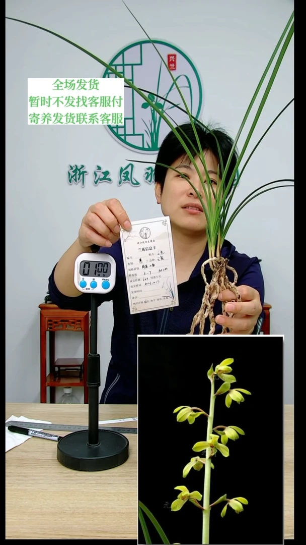 【闪购商品】元宵,之*,之也