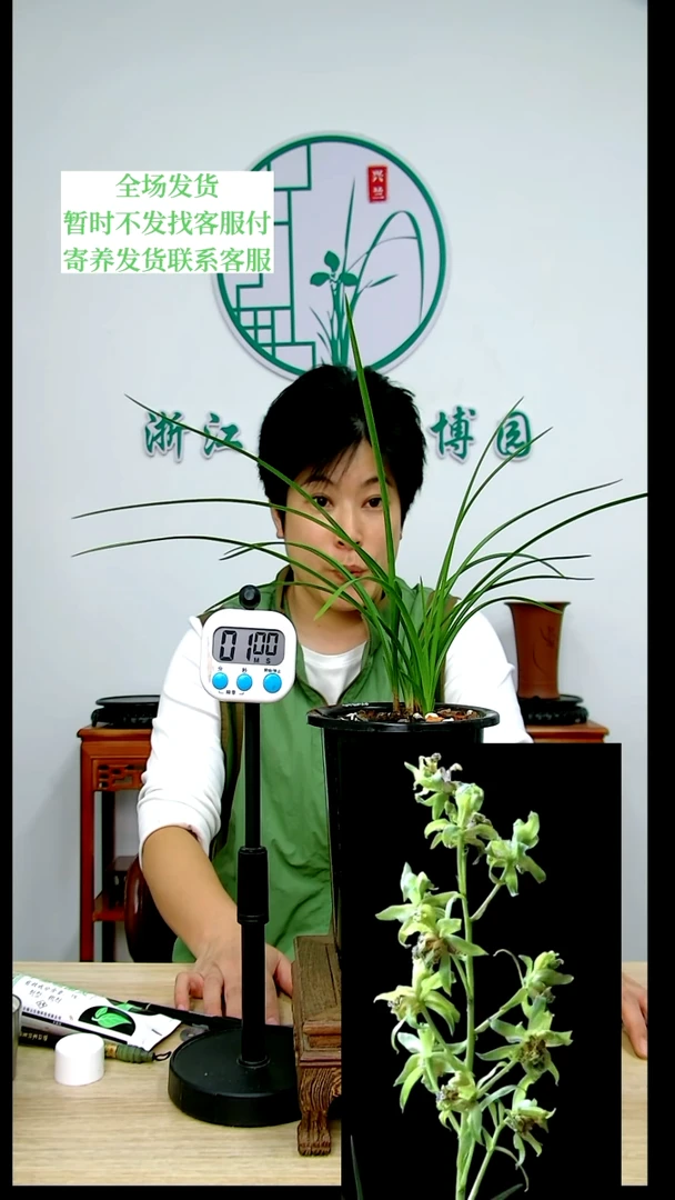 【闪购商品】卢氏雄狮，绾*，绾绾