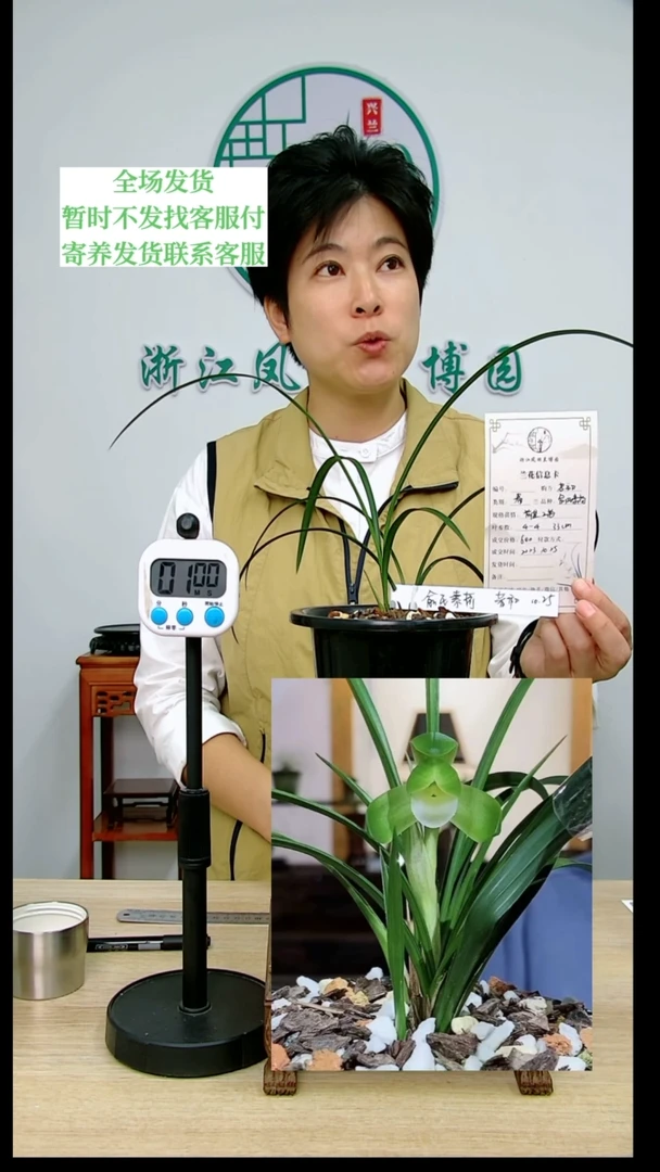 【闪购商品】俞氏素荷，若*，若初