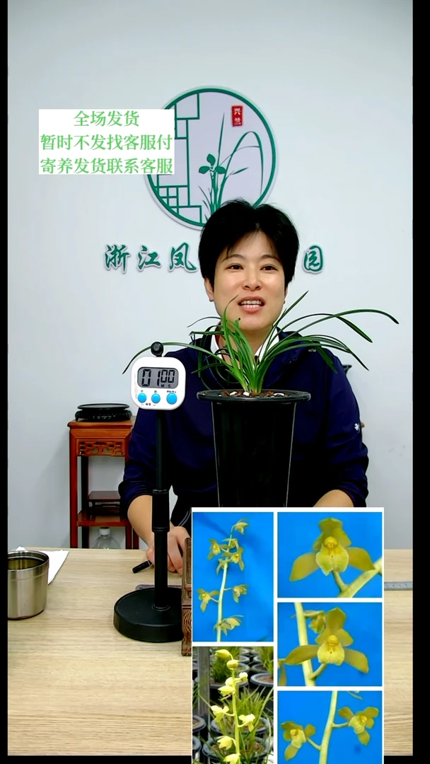 【闪购商品】150秦深素，Z*，ZY