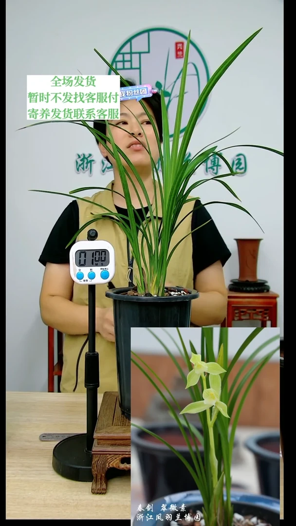 【闪购商品】翠微素，唐**?，唐波虎