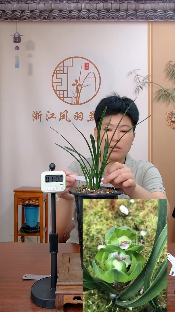 【闪购商品】绿云旺叔～家纺