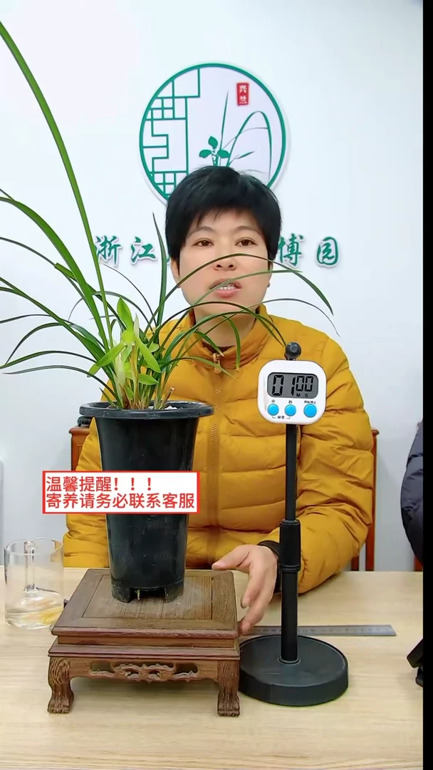 【闪购商品】清浅盆，，dyi9z