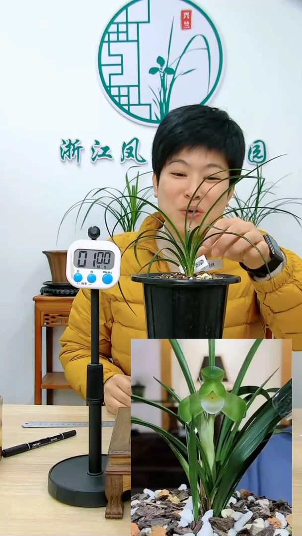 【闪购商品】俞氏素荷,,老男孩