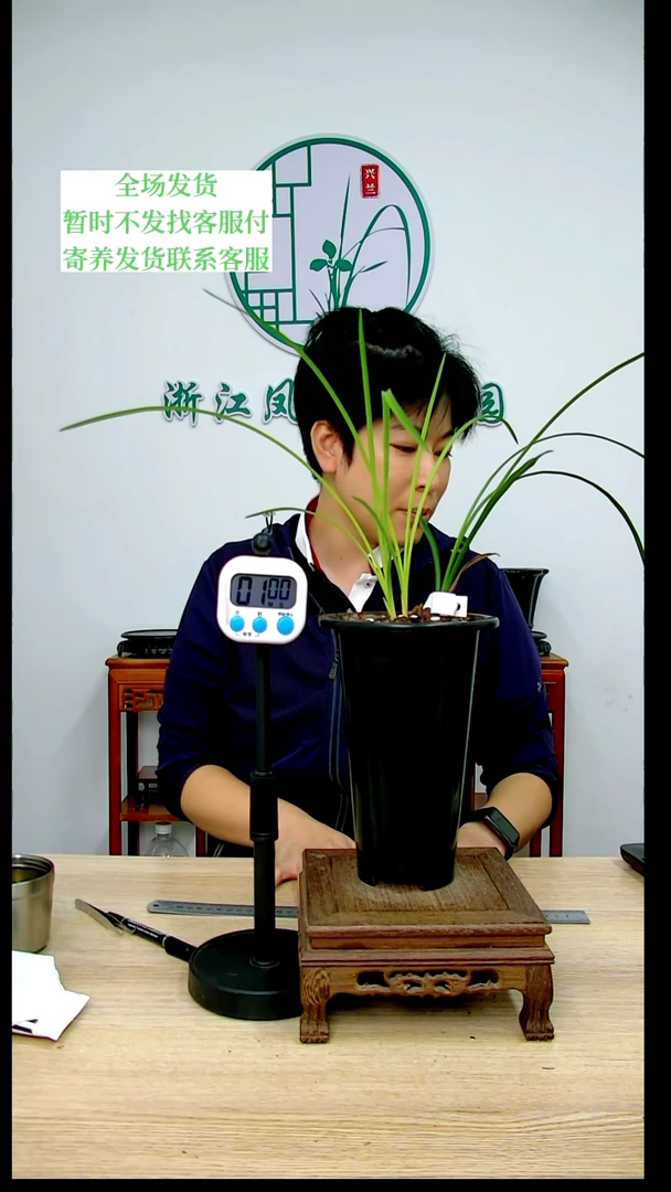 【闪购商品】小波浪，豫****），豫晓花卉