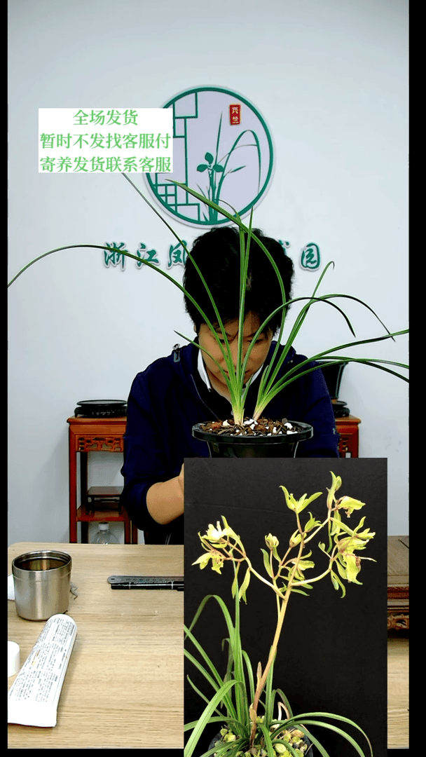 【闪购商品】锦上添花，??，鱼星