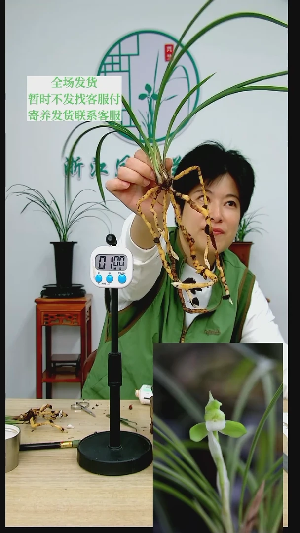 【闪购商品】翠玉，潇***回，潇洒走一回