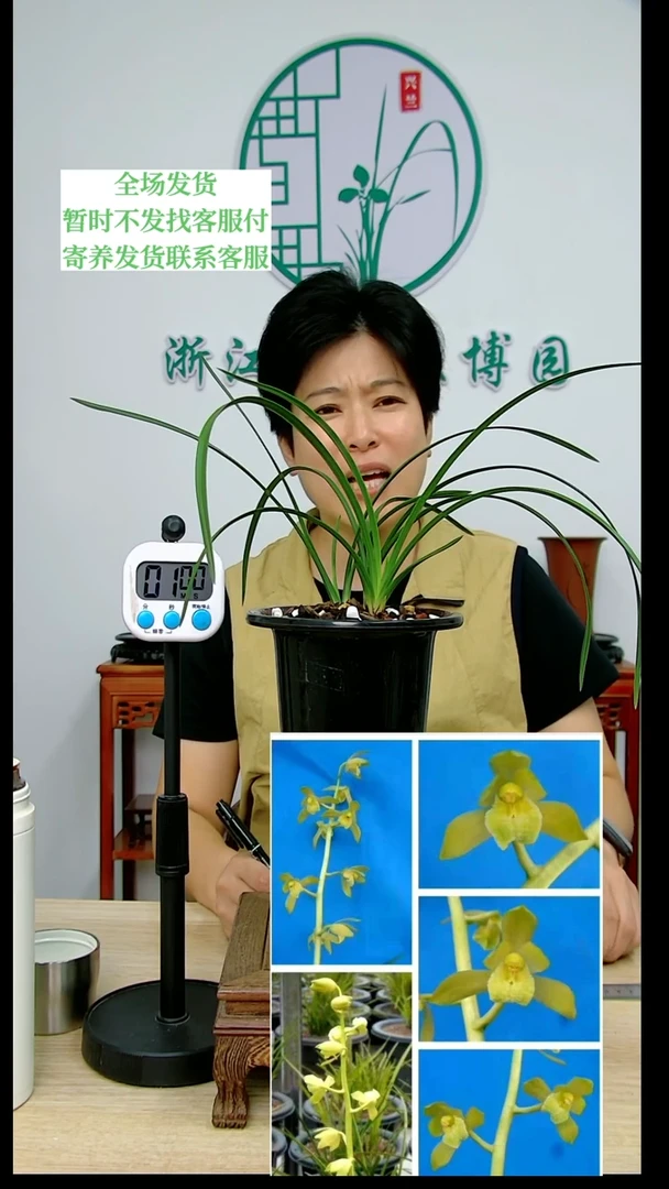 【闪购商品】150秦深素,午*,午后