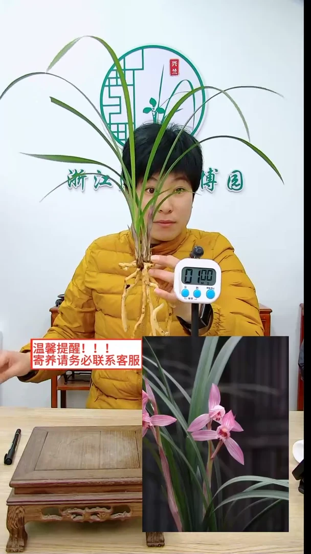 【闪购商品】新津胭脂，，大碗鱼筒骨煲