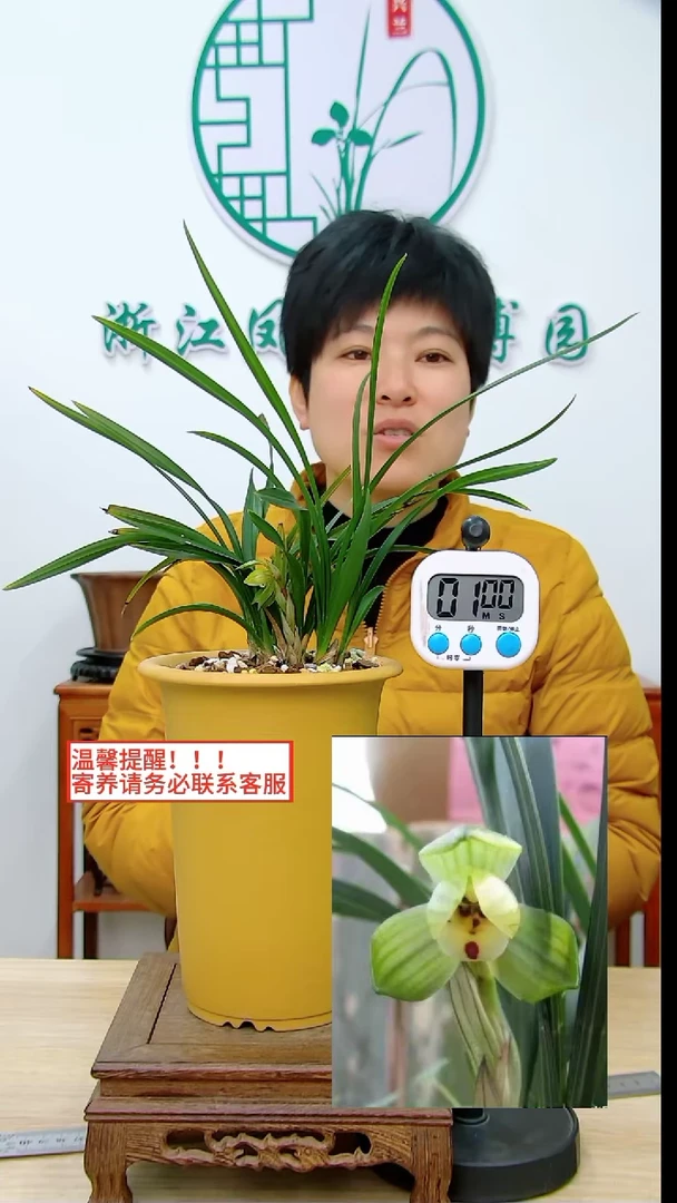 【闪购商品】蘋州荷影，，扬扬很努力