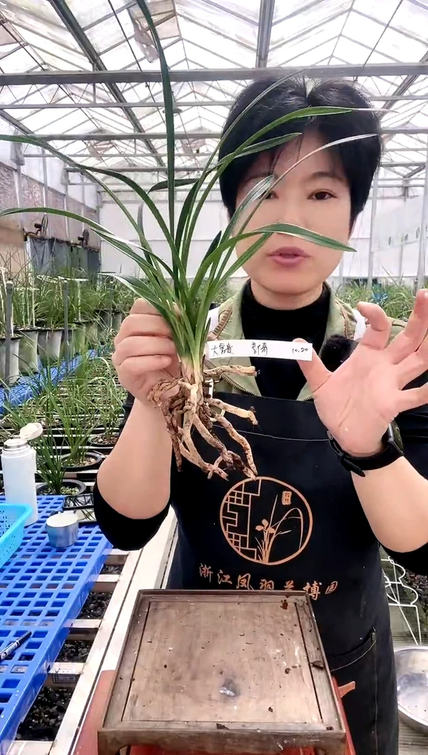 【闪购商品】大富贵，郭*?，郭哥